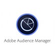 Adobe Audience Manager